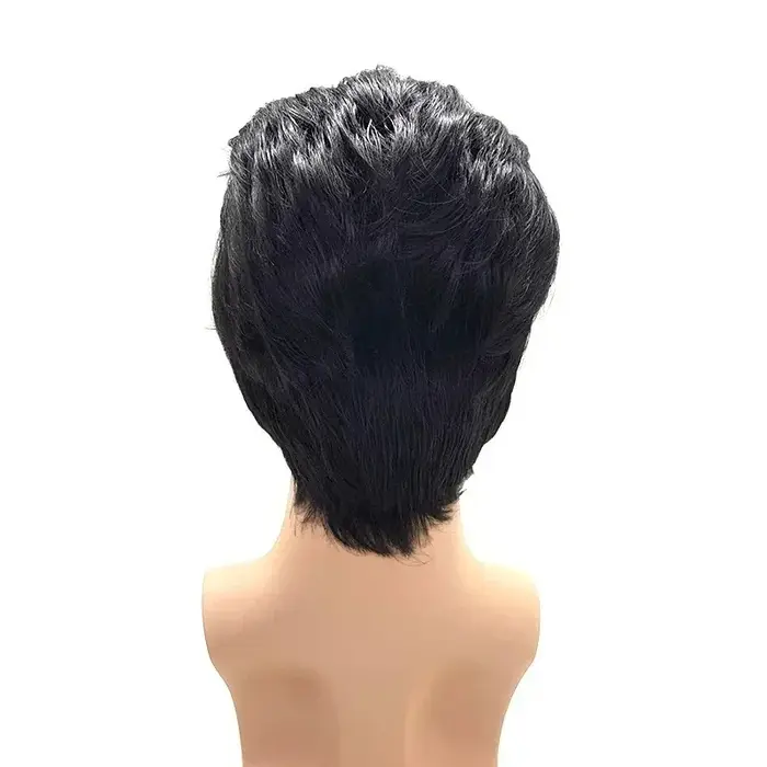 Perruque de cosplay Elvis Presley pour homme - Cheveux synthétiques résistants à la chaleur