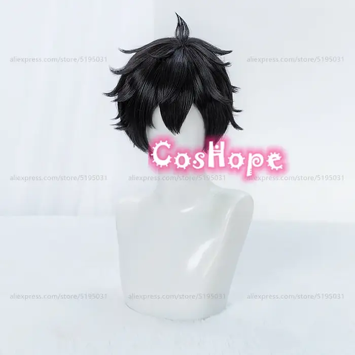 Dan Heng Cosplay perruque 30 cm perruque courte perruque noire Cosplay Anime Cosplay perruques résistant à la chaleur perruques synthétiques