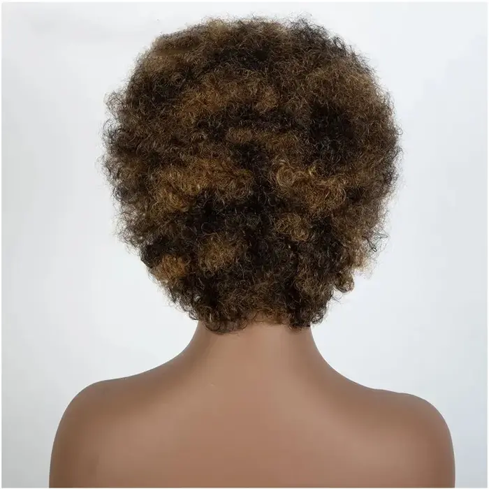 Afro crépus bouclés mettre en évidence perruque cheveux humains Ombre brun blond
