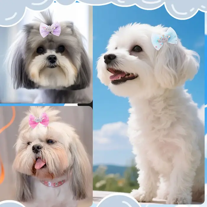 Pinces à cheveux en dentelle pour chien