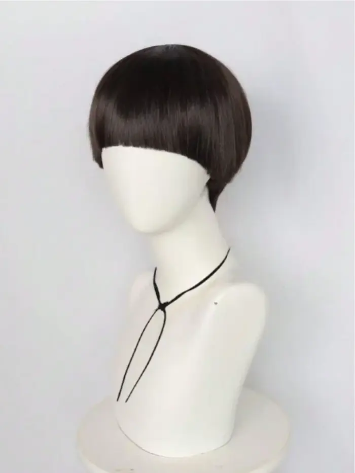 Perruque de cosplay courte brune pour hommes