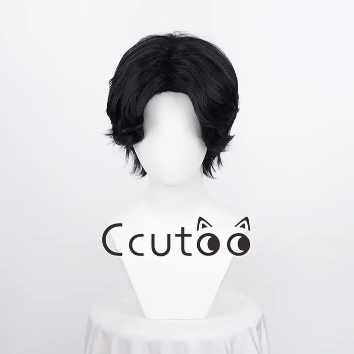 Anime Portgas D. ZanShort-Perruque Cosplay Synthétique Noire, Bonnet de Perruque, Degré de Chaleur