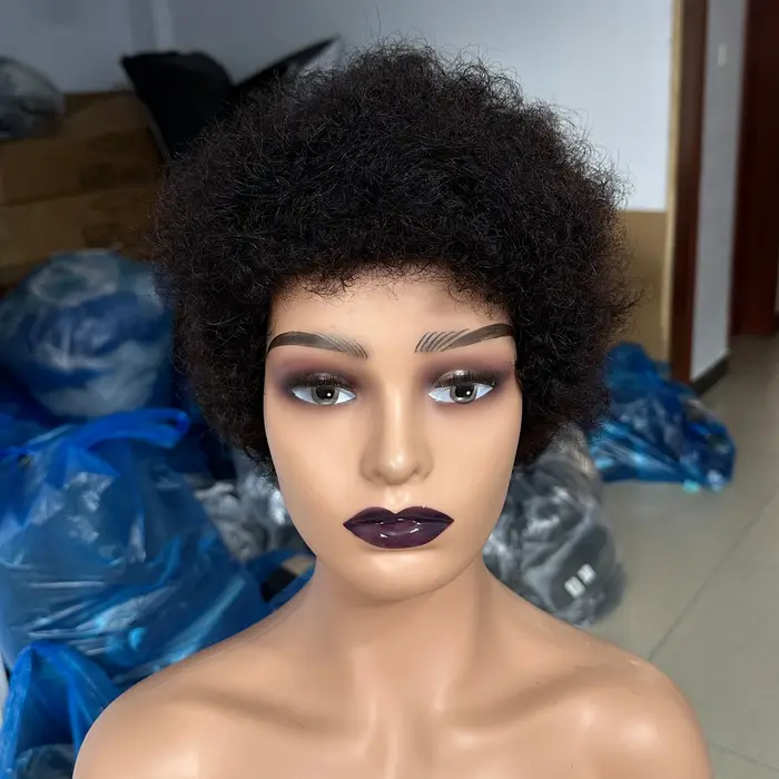 Perruques en cheveux humains afro bouclés pour femmes noires