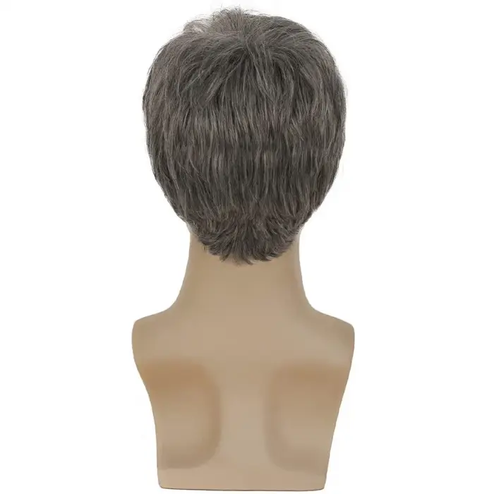 Perruque Courte Synthétique Grise pour Homme