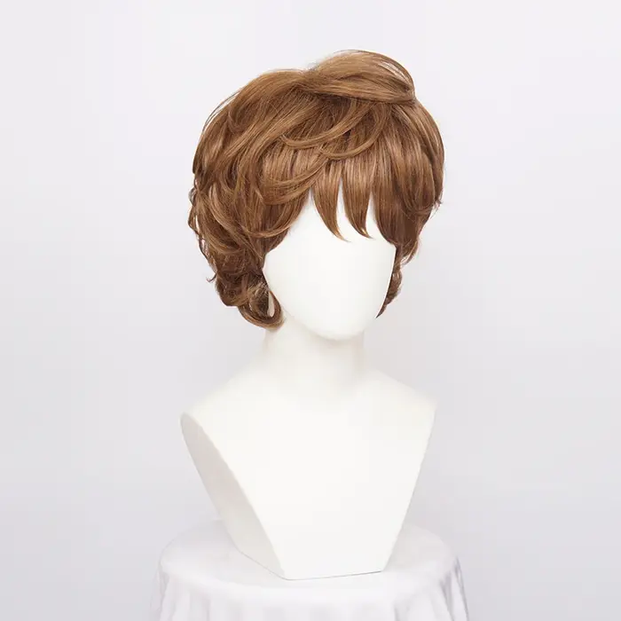 Perruques Cosplay synthétiques courtes et bouclées pour hommes