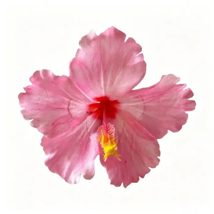 Pince à cheveux fleur d'hibiscus artificielle, style bohème, ne blesse pas les cheveux, pour franges