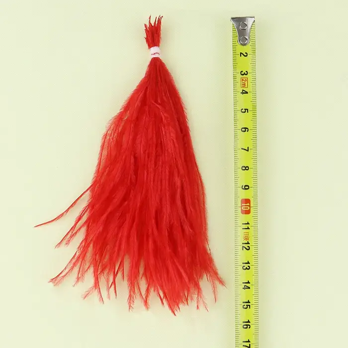 Plumes d'autruche naturelles à Clip