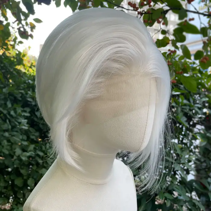 Perruque Lace Front Wig synthétique courte coupe Bob, perruque de Cosplay pour hommes et femmes, cou