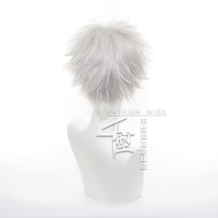 Hunter x Hunter Killua Zoldyck perruque courte hommes perruque Cosplay argent Shaggy couches résistant à la chaleur synthétique cheveux perruques