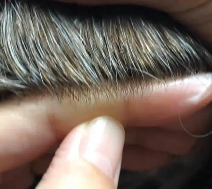 Perruque Naturelle Ondulée Indienne pour Homme