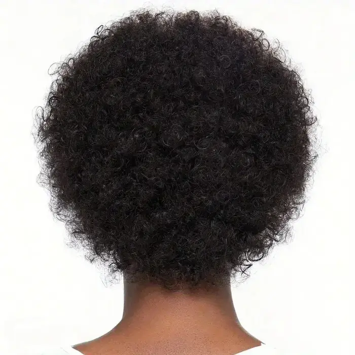 Perruque Afro crépue bouclée pour femmes