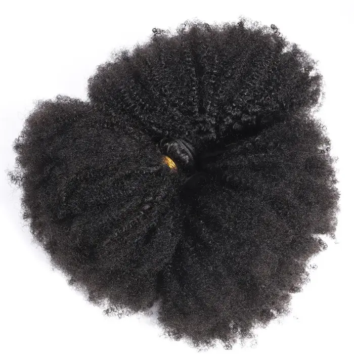 ELISHEVA Lot de 1/3/4 mèches de cheveux humains indiens bruts, extensions bouclées afro crépues, nat