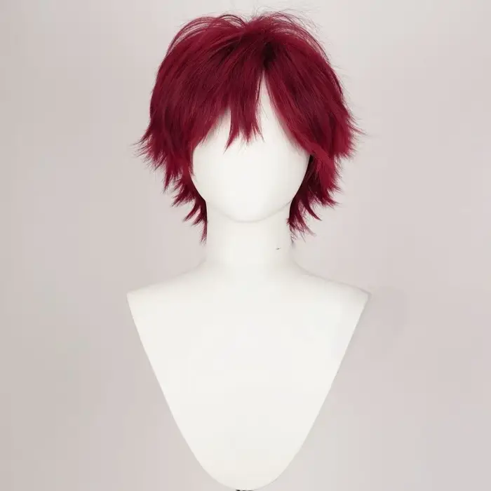 Perruque de cosplay polyvalente rouge synthétique pour hommes, ensemble de perruques de cosplay anim