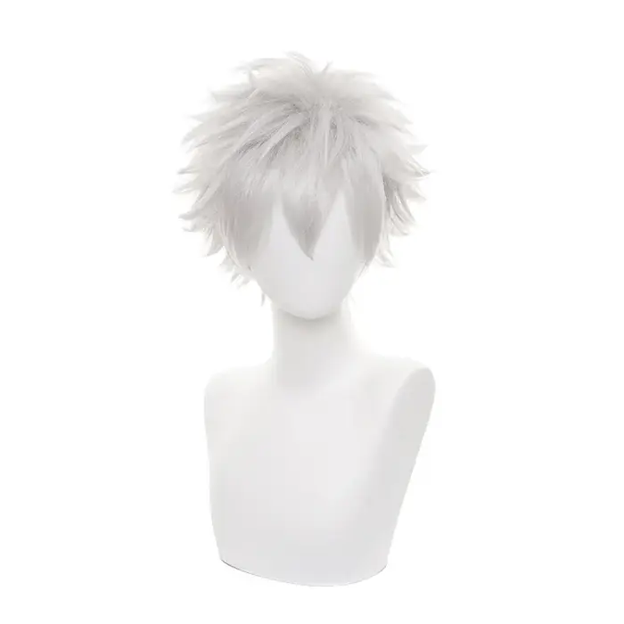 Hunter x Hunter Killua Zoldyck perruque courte hommes perruque Cosplay argent Shaggy couches résista