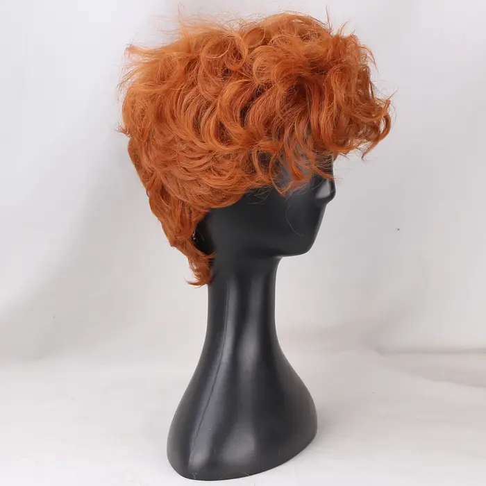 Perruque de Cosplay Anime pour jeunes hommes
