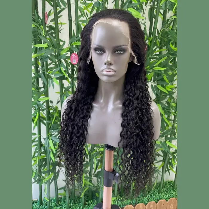 HD Lace Water Wave 13x6 5x5 6x6 Wig Raw Human Hair Wigs Pre Plucked Natural Hairline Melt Skin