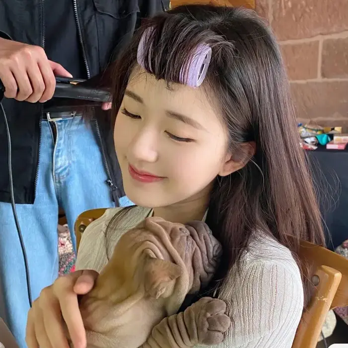 Pince à cheveux volumisante pour franges et boucles sur le devant du crâne pour femmes