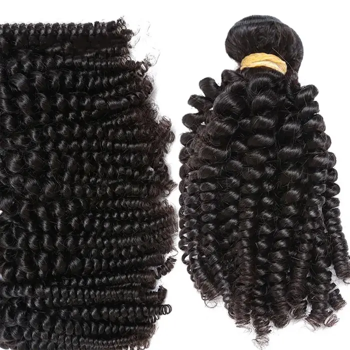 Perruque Afro Kinky Curly Spring Roll