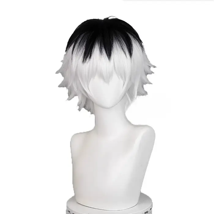 Perruque de Cosplay Anime Sasaki Haise, 30cm, cheveux courts argentés, blancs et noirs pour hommes, perruques synthétiques résistantes à la chaleur pour fête d'halloween