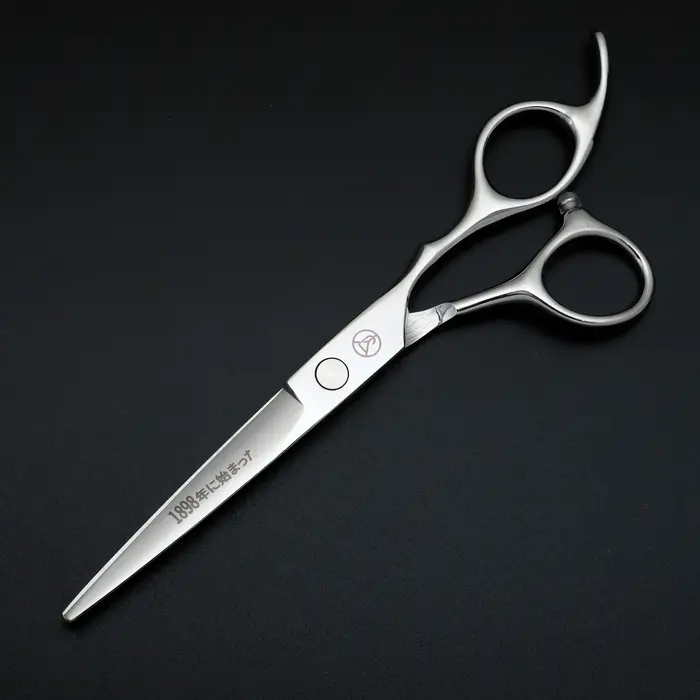 Ensemble de ciseaux de coiffure professionnels, ciseaux de coiffure en acier inoxydable japonais arg