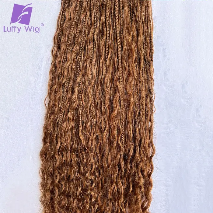 Tresses Boho au Crochet pour Femme, Cheveux Humains Bouclés, Extrémités Complètes, Tressage Pré Bouc