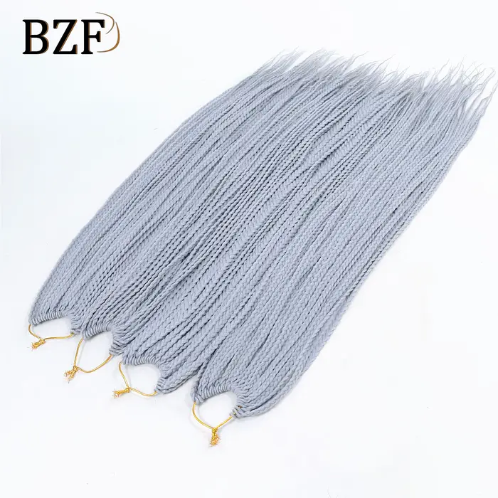 Extensions de Tresses Synthétiques Grises au Crochet pour Femme