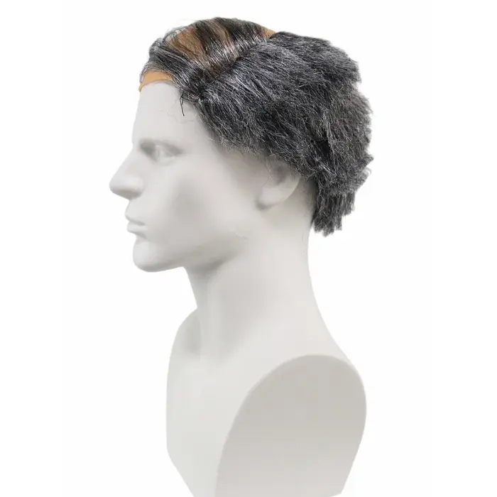 Perruque synthétique grise pour hommes âgés