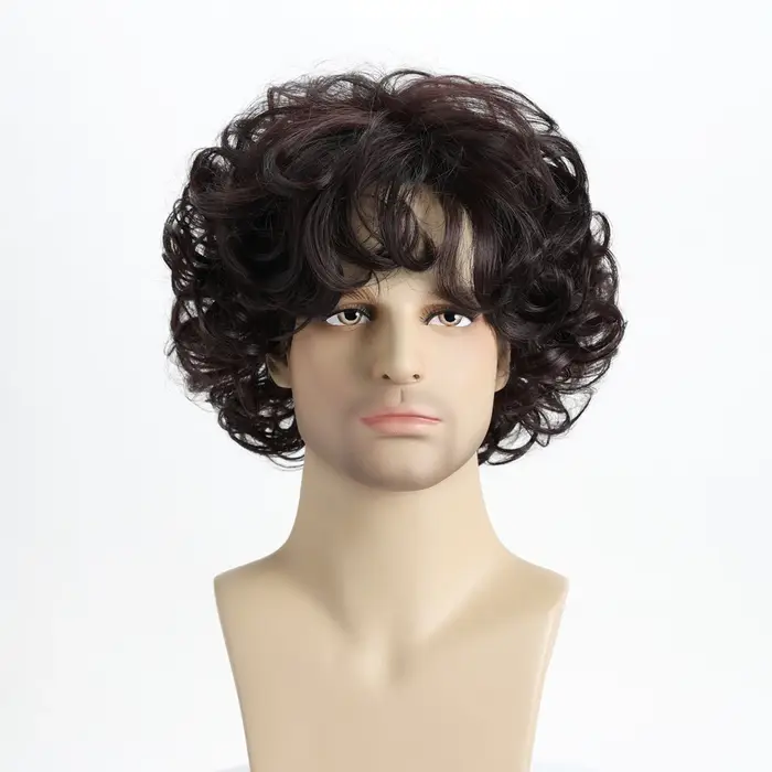 Perruque synthétique ondulée courte bouclée naturelle brune de 10 pouces pour hommes jeunes hommes, 