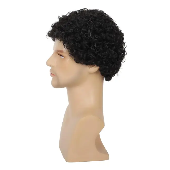 Tereshar synthétique hommes bouclés Afro perruques courte perruque bouclée pour homme gars Rocker