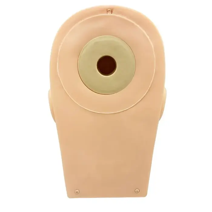 Tête de mannequin pour formation aux extensions de cils et kit de cils