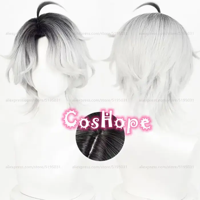 Patient Emil Cosplay perruque 30 cm court noir argent blanc dégradé
