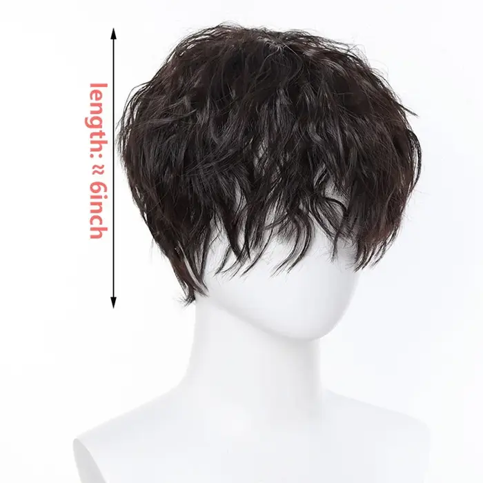  Perruque synthétique frisée crépue pour homme
