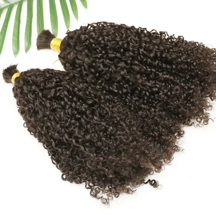 Extensions de Cheveux Humains Crépus et Bouclés pour Tressage, Tresses Boho à Double Proximité
