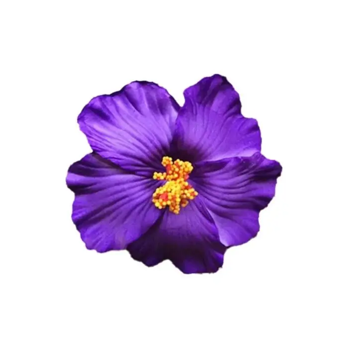 Pince à cheveux fleur blanche pour femmes et filles, épingle à cheveux, plage, bord de mer, voyage,