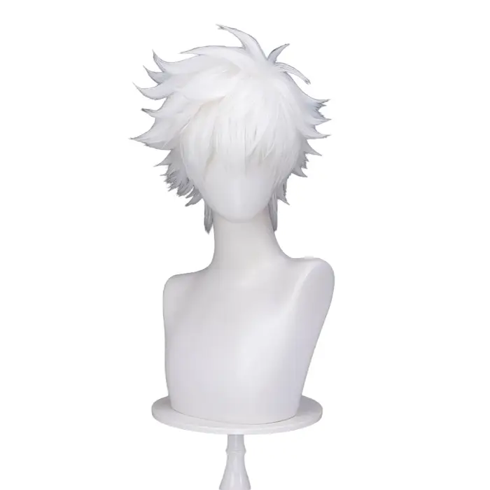 EN STOCK Lu Guang Charles Cheng Xiaoshi perruque Anime lien clic Cosplay DokiDoki hommes blanc