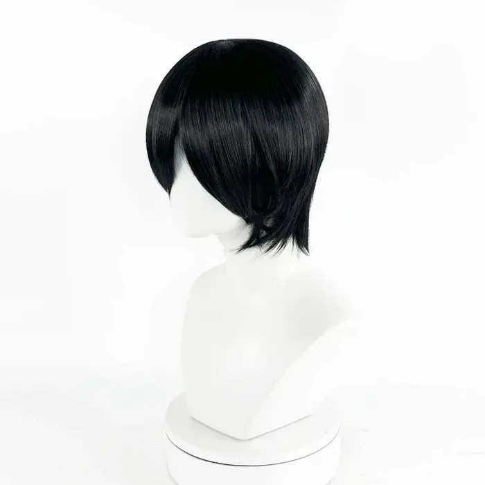 Perruque de Cosplay synthétique noire unisexe pour adultes