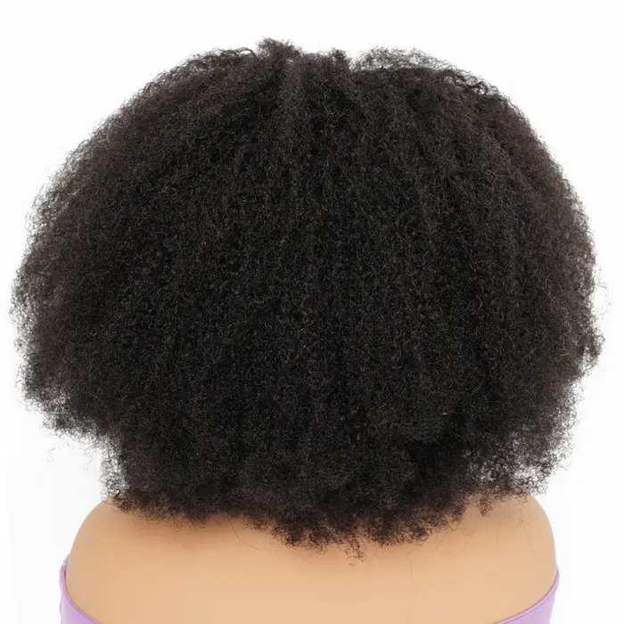 Perruques 100% Cheveux Humains Afro Kinky Bouclés Densité 250% Pour Femmes, Perruque Frontale en Den