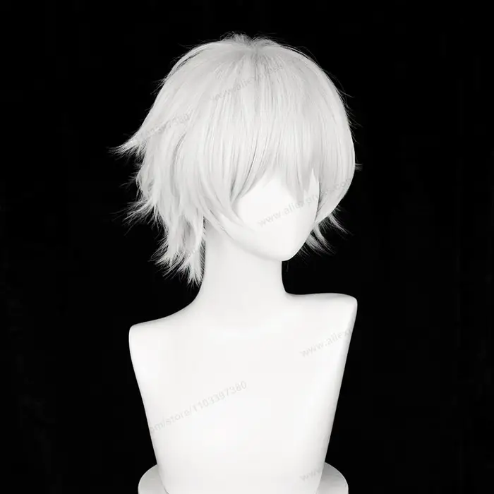 Kaneki Ken Cosplay perruque 30 cm court argent blanc homme cheveux Anime résistant à la chaleur perr
