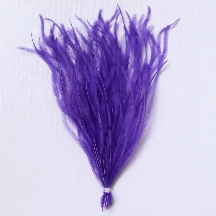 Plumes d'autruche naturelles à Clip