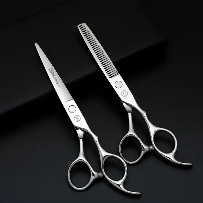 Ensemble de ciseaux de coiffure professionnels, ciseaux de coiffure en acier inoxydable japonais arg