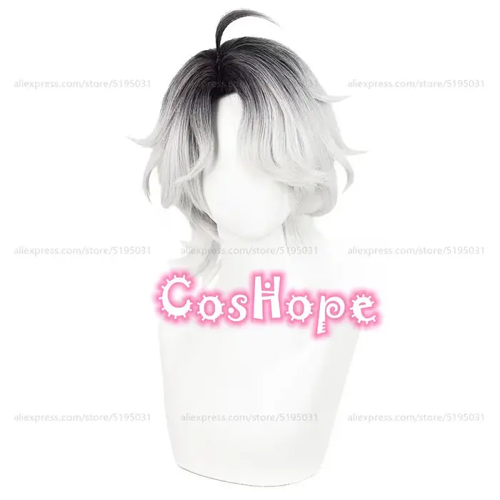 Patient Emil Cosplay perruque 30 cm court noir argent blanc dégradé