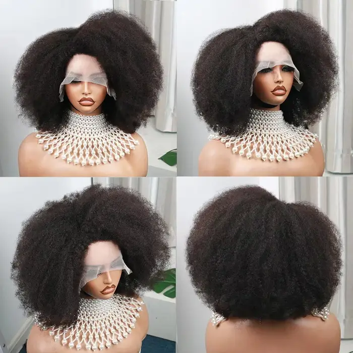 Afro Kinky Curly Lace Wig for Women