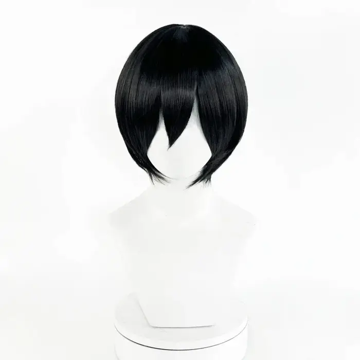 Perruque de Cosplay synthétique noire unisexe pour adultes, Anime Mikasa Ackerman, cheveux résistant