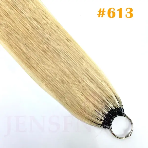 Extensions de Cheveux 100% Naturels Lisses de Troisième Génération