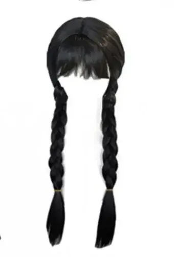 Perruque de Cosplay de Costume d'anime, perruques tressées violettes pour femmes et hommes, accessoi