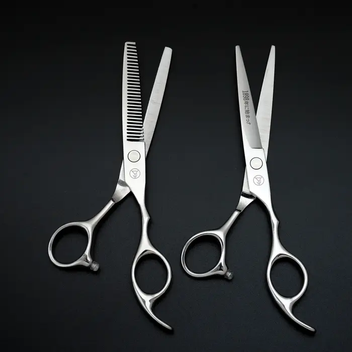 Ensemble de ciseaux de coiffure professionnels, ciseaux de coiffure en acier inoxydable japonais arg