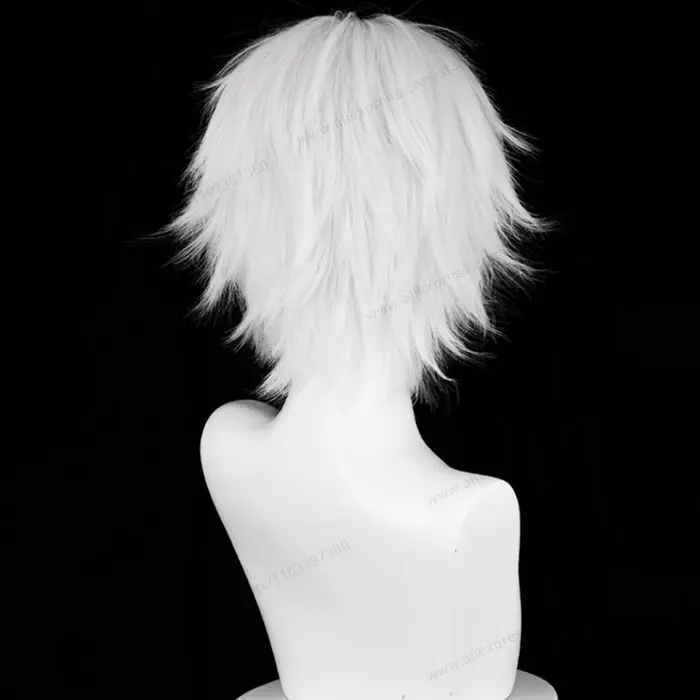 Kaneki Ken Cosplay perruque 30 cm court argent blanc homme cheveux Anime résistant à la chaleur perruques synthétiques