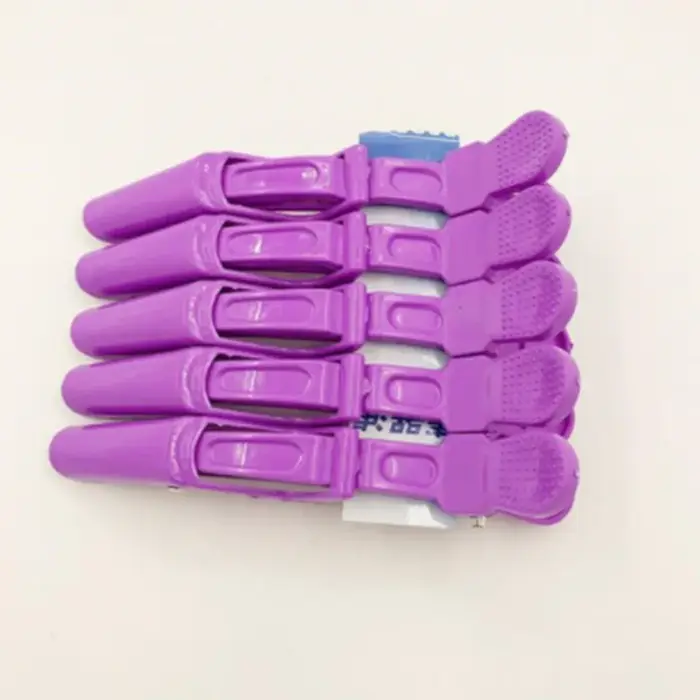 Lot de 5 pinces à cheveux en plastique