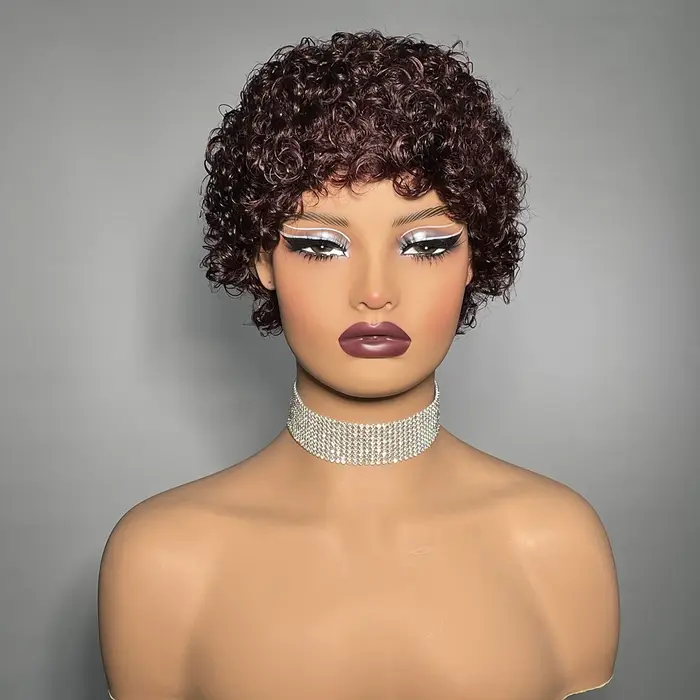Kinky Curly Human Hair Wigs for Women