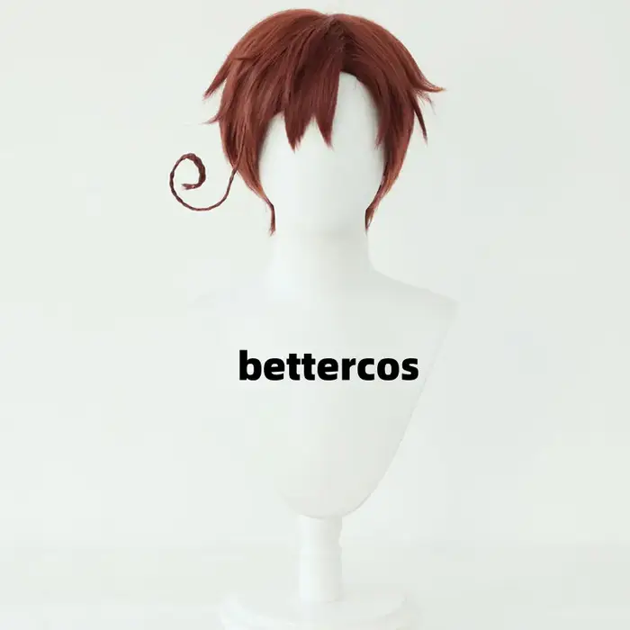 Axis Powers Hetalia perruques sud-aitalie perruque Feliciano Vargas rouge marron Cosplay